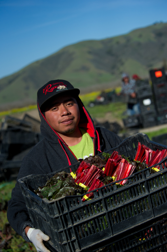 California goes to more than export crops photo by John Chacon, DWR