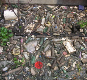 shoreline plastic and garbage